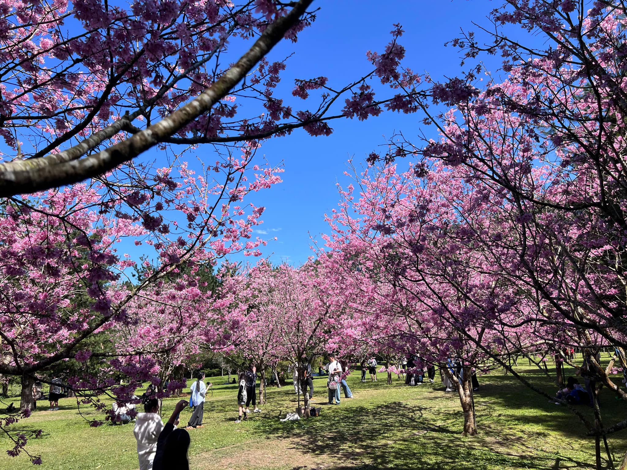 Đài Loan 5 ngày 4 đêm 2025