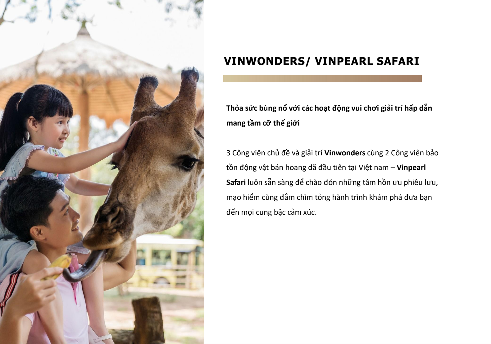 TẤM THẺ QUYỀN NĂNG PEARL CLUB